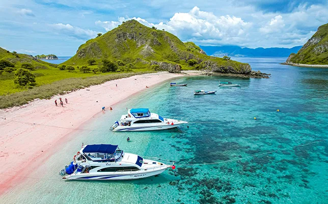 flores-purnamatours