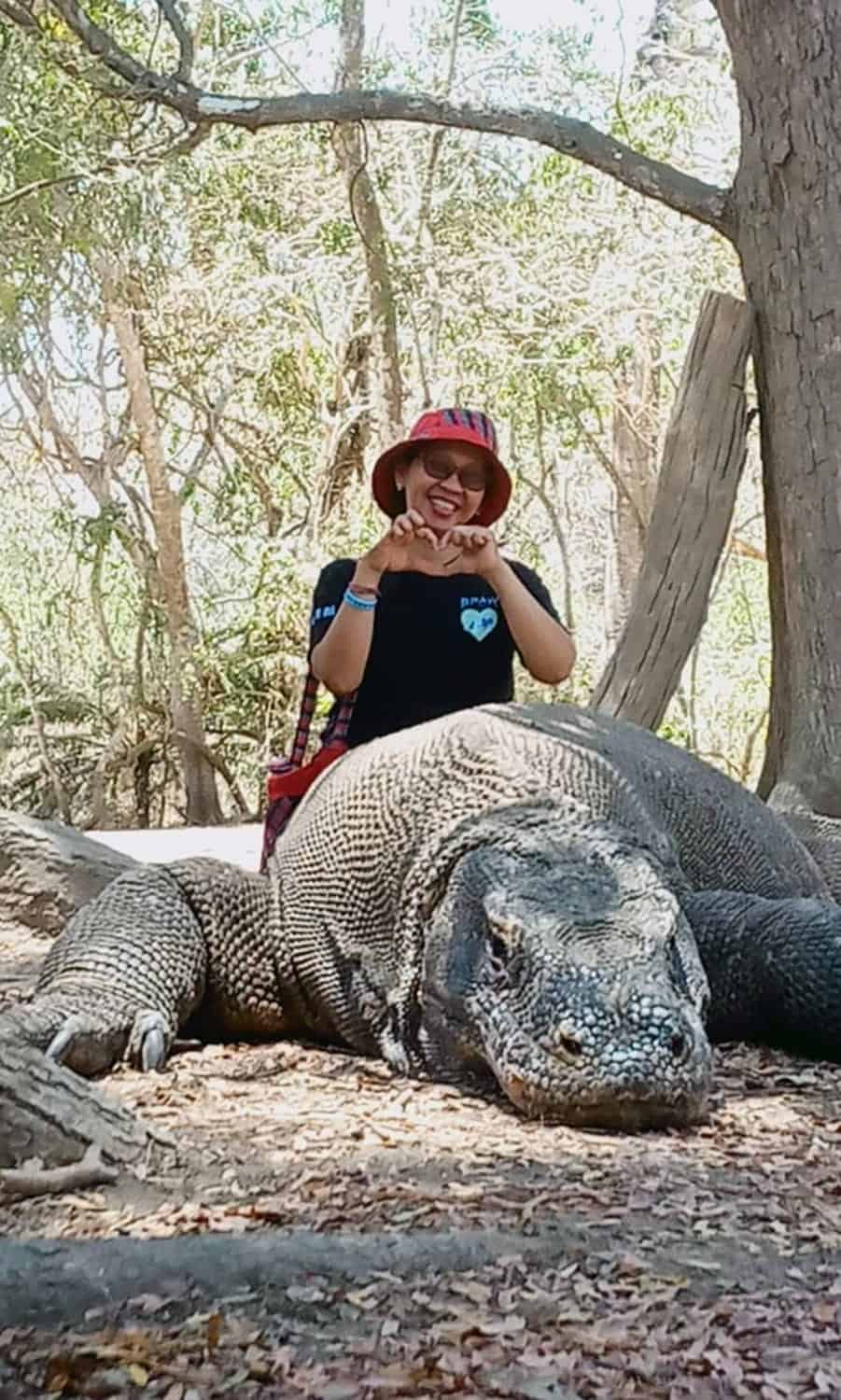 komodo-purnamatours