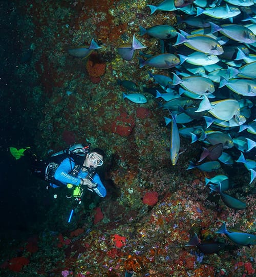 Explore Indonesia by adiprayogo-liemena